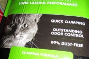 kittens and food pics 3-23-17 002