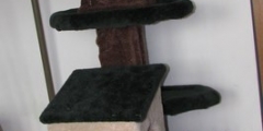 New cat tree.